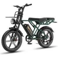 RCB E-Bike Pedelec G19,20×4,0Zoll,48V22,5Ah,bis 150KM,1365W Spitzenleistung,ABS-Ölbremsen, 7 Gang, Heckmotor, 1080 Wh, Blinker, NFC&APP, Drehmomentsensor, Steigfähigkeit bis 21,26%(ca. 12)