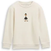 TOM TAILOR Sweater mit Dino-Print