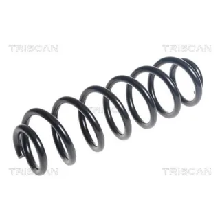 Triscan Feder hinten Audi A3 Skoda Octavia VW Golf 1,4