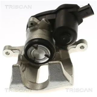 Triscan Bremssattel hinten rechts Audi A6 A7 817529254
