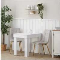Homestyle4u Essgruppe Esstisch 60x90 2 Stühle Grau Samt Weiß Küchentisch klein Sitzgruppe, (Set, 3-tlg., Esszimmergruppe 3 teilig), Goldene Stuhlbeine, Polsterstuhl, Essstuhl