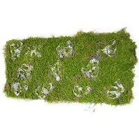 Kunstblume Moosmatte 100 x 30 cm Kunstpflanze Flora, HTI-Living, Höhe 2 cm, Kunstblume Dekoration