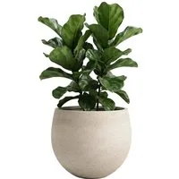 aplanta Blumentopf Pflanztopf Sandro beige,  28X23
