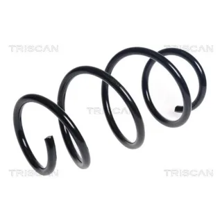 Triscan Feder vorne BMW 2er X1 875011229