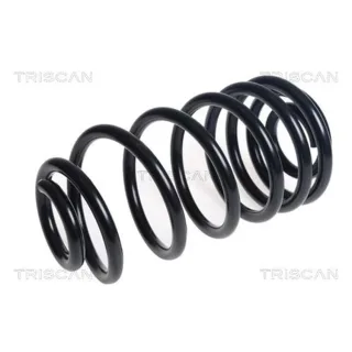 Triscan Feder Hinten Mercedes Vito 875023195