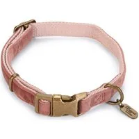 Designed By Lotte Hunde-Halsband Hundehalsband Velura pink