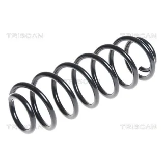 Triscan Feder hinten Audi A1 Seat Ibiza Skoda Fabia