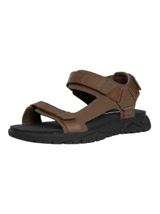 Timberland Windham Trail Sandalen, Braun