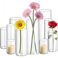 SEHAUSEU Dekovase Vase aus Glas Blumenvase (Set, 8/10 St) unterschiedlichen Größe (10 St), aus Glas