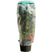 KHW Pflanzenschutzdach Tomatenhut, inkl. Stab und Schutzfolie, BxH: 49x120 cm