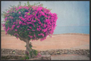 Fussmatte 6343 | Größe: 60 cm x 45 cm
