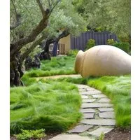 BALDUR Garten Gräser Gräser-Teppich 'Carex Remota', 15 St., Winkel-segge, immergrün, winterhart, mehrjährig