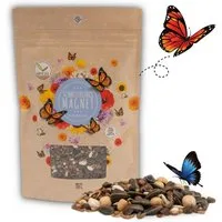 HappySeed Blumensamen Schmetterlingswiese Samen für eine buinte Blumenwiese (bunt), 0.1 kg, Bienenfreundlich
