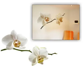 Wanddekoration Orchidee