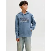 Jack & Jones Junior Kapuzensweatshirt JJELOGO SWEAT HOOD 2 COL AW25 NOOS JNR
