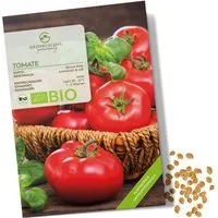 Growgreens Gemüsesamen BIO Tomatensamen (Berner Rose) - Tomaten Saatgut (10 Korn), Tomaten