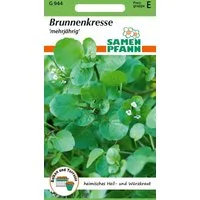 SAMEN PFANN Kräutersamen Brunnenkresse - Kräuter-Samen Gewürz Saatgut Samen, Nasturtium officinale