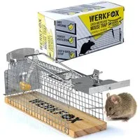 Goods+Gadgets Lebendfalle GOODS+GADGETS Wiederverwendbar Lebendfalle Mäusefalle–Tierfreundlich, Tiefreundliche Falle wiederverwendbar