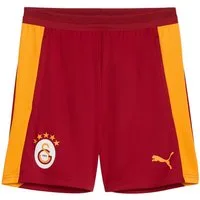 PUMA Sporthose PUMA Galatasaray Istanbul Training Short