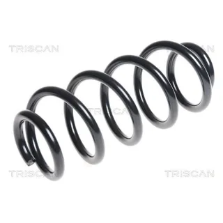 Triscan Feder vorne Seat Exeo 2,0