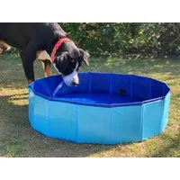 BURI Hundepool Hundepool 80x20cm Badewanne Schwimmbecken Swimmingpool Planschbecken