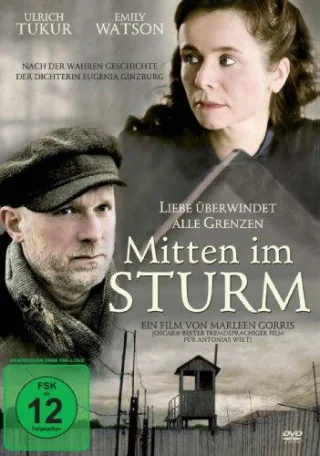 Mitten im Sturm [DVD] [2014]