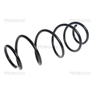 Triscan Feder vorne Peugeot 308 875028278