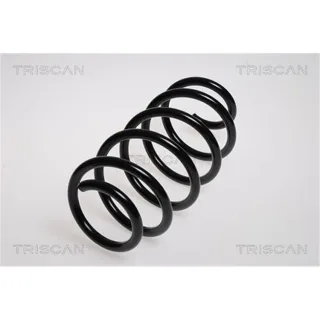 Triscan Feder vorne VW Touran 875029146
