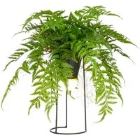 Kunstpflanze Farn als Dekostandleuchte, Creativ green, Höhe 60 cm, mit LED-Beleuchtung