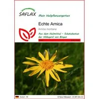 SAFLAX Blumensamen SAFLAX - Samen - Echte Arnica