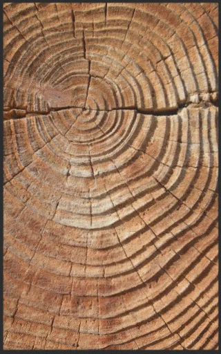 Fussmatte 7270 | Größe: 60 cm x 90 cm