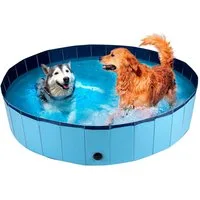 maxxpro Outdoor-Spielzeug maxxpro Hundepool 160 x 30 CM, Kunststoff