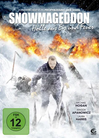 Snowmageddon - Hölle aus Eis und Feuer [DVD] [2013]