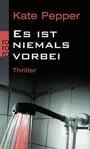 Es ist niemals vorbei (Karin Schaeffer ermittelt Band 2)