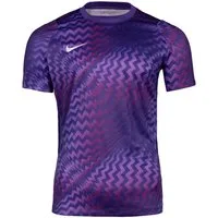 Nike Fußballtrikot Nike Performance Gardien VI Torwarttrikot Kids Teamsport