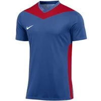 Nike Fußballtrikot Nike Performance Park Derby IV Trikot Trikots Teamsport