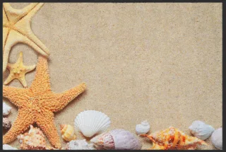 Fussmatte Muscheln 6370 | Größe: 100 cm x 70 cm