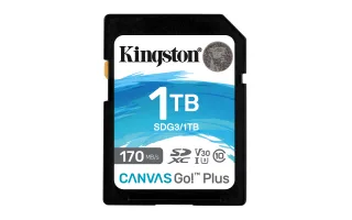 Kingston Canvas Go! Plus | sdg3/1tb | Flash-Speicherkarte