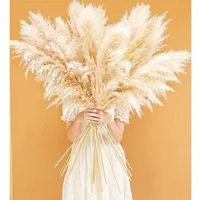 Trockenblume Pampasgras XXL 115cm 10 Stück Deko Boho Wohnzimmer Tisch 120cm-10-A, LuxusKollektion