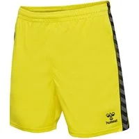 hummel Trainingshose hmlAUTHENTIC PL SHORTS