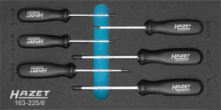 HAZET Schraubendreher-Satz TORX® Einlage 6-teilig - 163-225/6