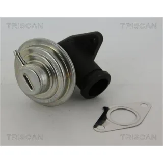 Triscan AGR-Ventil Citroen Fiat Lancia Peugeot Suzuki