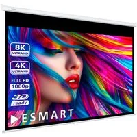 ESMART ESMART Germany Rollo Leinwand Rolloleinwand (Professional MIROLO)