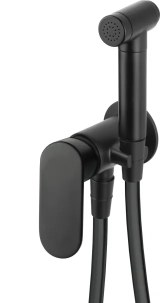 Neuesbad Serie 100 Bidetarmatur, Unterputz, mit Bidet-Handbrause, schwarz matt NB1DEBGA_N34M1