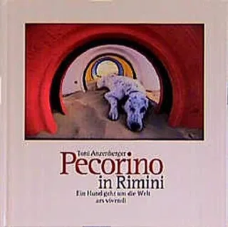 Pecorino in Rimini: Ein Hund geht um die Welt