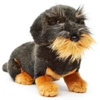 Uni-Toys Kuscheltier Rauhaardackel - m./o. Leine - 24 cm - Plüsch-Hund, Dackel - Plüschtier, zu 100 % recyceltes Füllmaterial