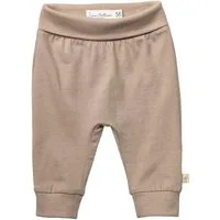 Sterntaler® Stoffhose Hose Jersey (1-tlg)