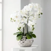 Kunstorchidee Kunstpflanze Orchidee Orchidee, Creativ green, Höhe 55.00 cm, im Keramiktopf