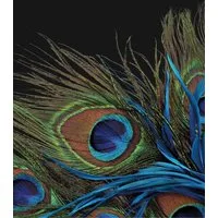 Wohndecke Mikrofaser Fotodruck "Pfau", KiNZLER, Kuscheldecke, bedruckt, 150x200 cm