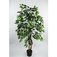 Kunstbaum Ficus Excotica 120cm DA Kunstbaum Baum Kunstpflanzen künstliche Birkenfeige, Seidenblumen Roß, Höhe 120 cm, Grün-Creme